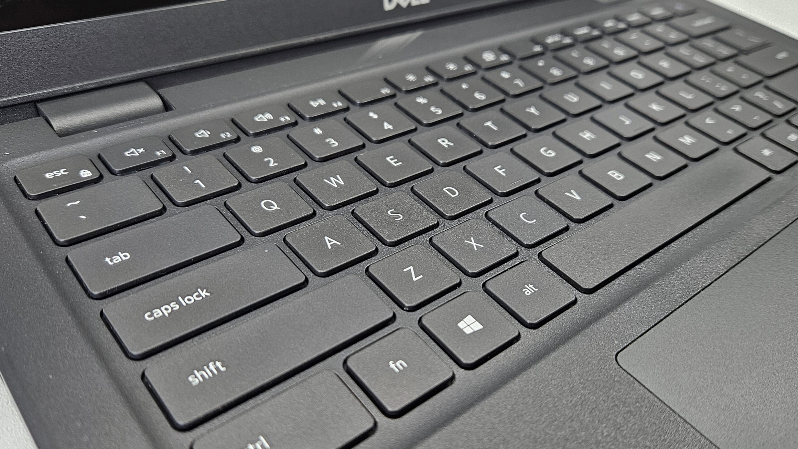 e82fcfa7-fade-455e-86c3-7a1145a4f0fd